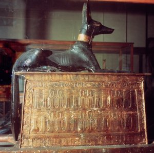 Anubis, egyptiläinen kuolleiden jumala, joka istuu pyhäkön muodossa olevan arkun päällä, Tutankhamonin haudasta (n. 1370-52 eKr.) Uusi kuningaskunta (puu) (katso myös 149424)